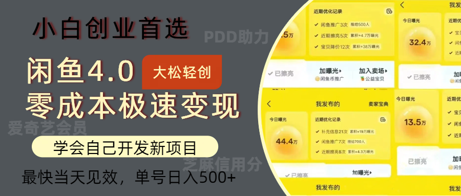 闲鱼0成本极速变现项目，多种变现方式，单号日入500+最新玩法-知联副业