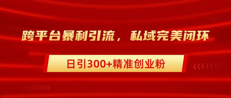 跨平台暴力引流，私域完美闭环，日引300+精准创业粉-知联副业