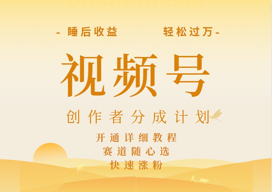 详解视频号创作者分成计划，暴力起号，可同步多平台，实现睡后收入2W+，看懂即可操作！-知联副业