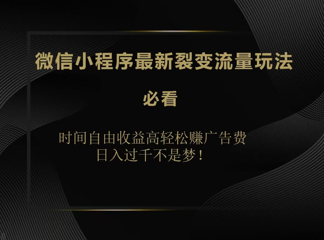 微信小程序最新裂变流量玩法，时间自由收益高轻松赚广告费，日入200-500+-知联副业