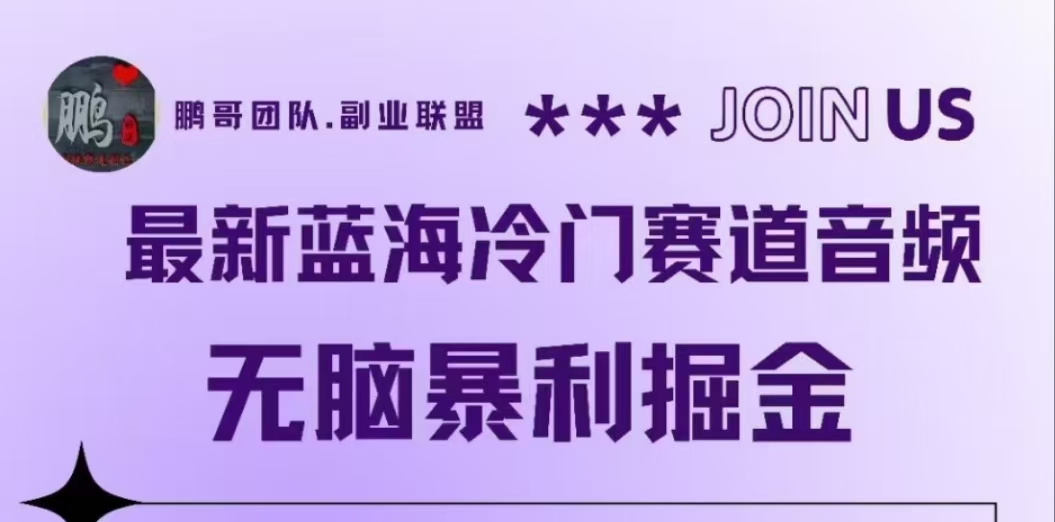最新蓝海冷门赛道音频，无脑暴利掘金-知联副业