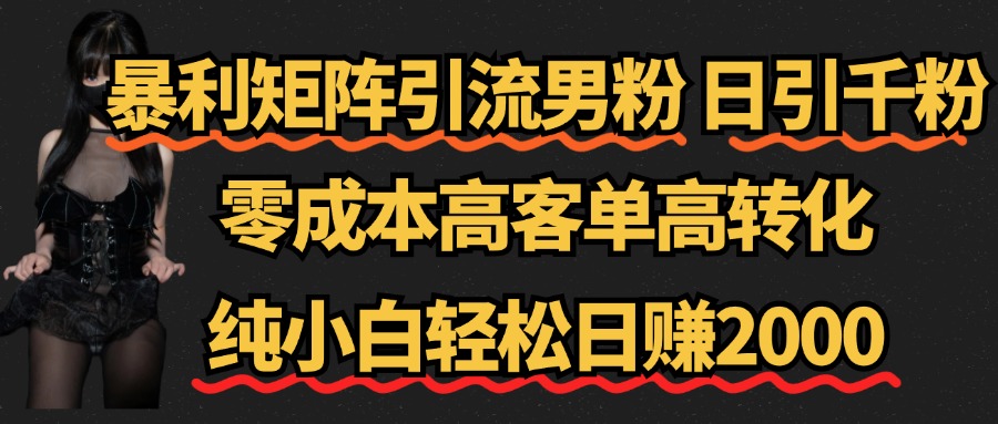 暴利矩阵引流男粉（日引千粉），零成本高客单高转化，纯小白轻松日赚2000+-知联副业
