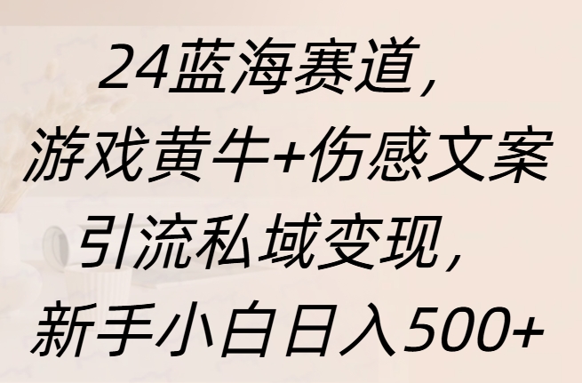 24蓝海赛道，游戏黄牛+伤感文案引流私域变现，新手日入500+-知联副业