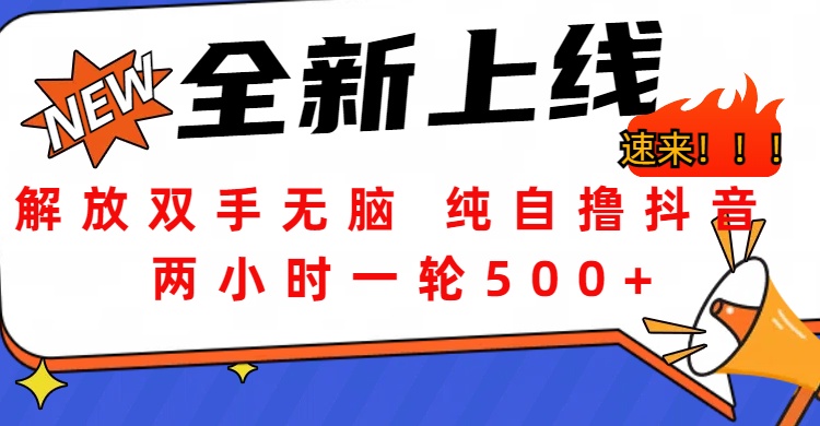 解放双手无脑 纯自撸抖音 两小时一轮500+-知联副业