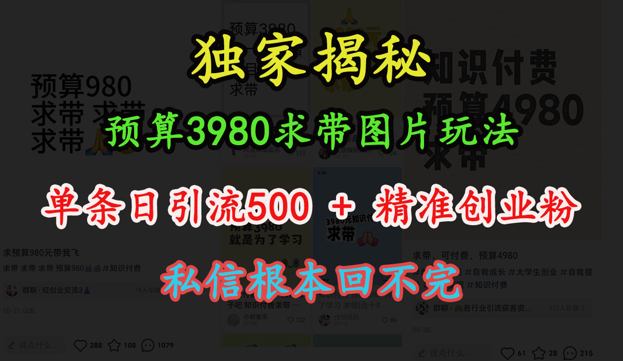 “小红书”预算3980求带 图片玩法，单条日引流500+精准创业粉，私信根本回不完-知联副业
