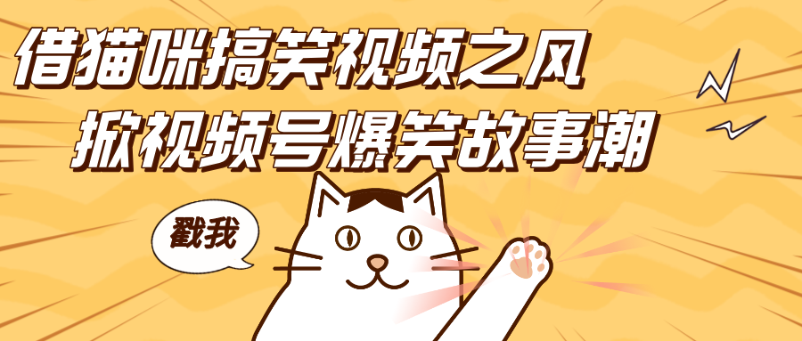 借猫咪搞笑视频之风，掀视频号爆笑故事潮，轻松日赚四位数，开启无门槛赚钱新体验！-知联副业
