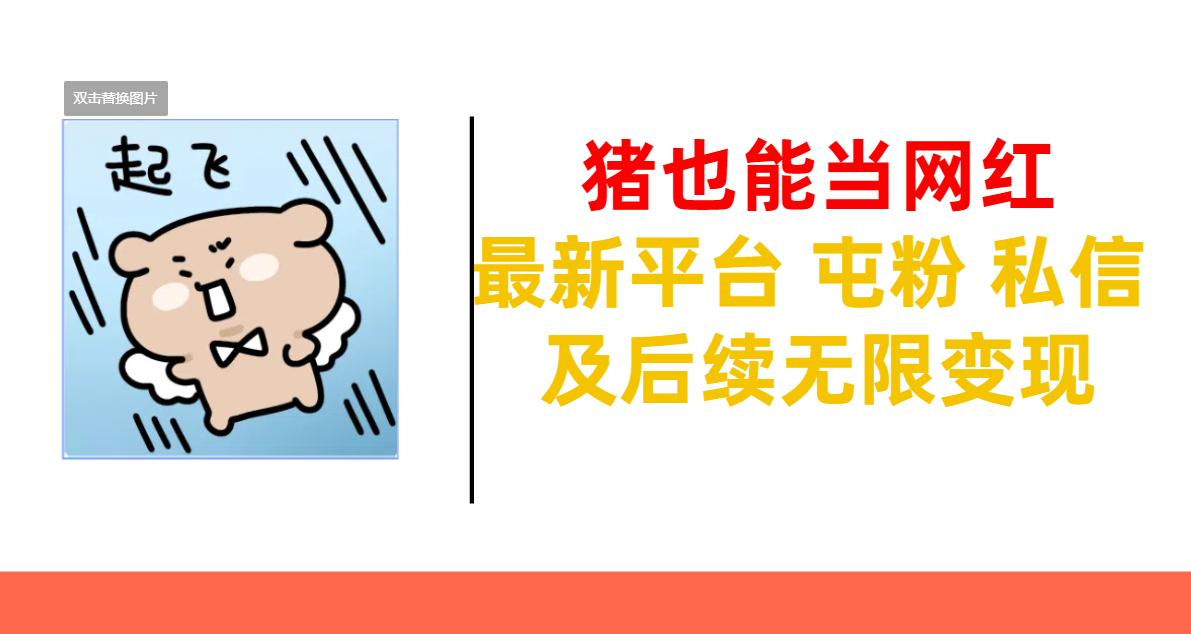 猪也能当网红-最新平台 屯粉 交流 私信 及后续无限变现-知联副业