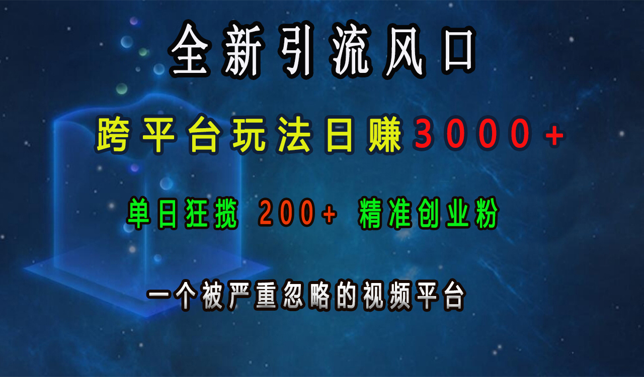 全新引流风口，跨平台玩法日赚3000+，单日狂揽200+精准创业粉，一个被严重忽略的视频平台-知联副业