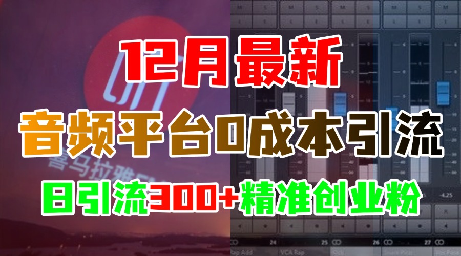 12月最新：音频平台0成本引流，日引300+精准创业粉-知联副业
