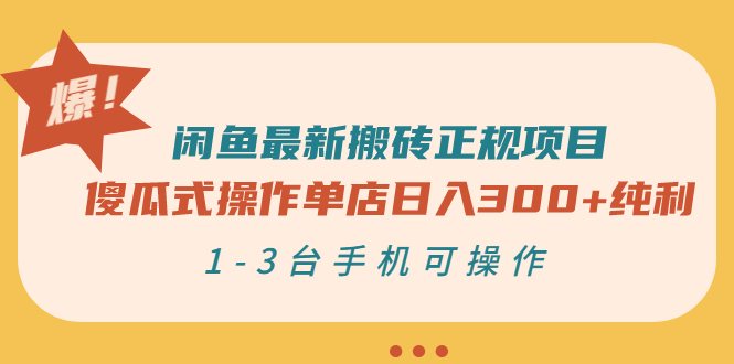 【副业项目3413期】闲鱼最新搬砖正规赚钱项目（手机上赚钱的副业）-知联副业