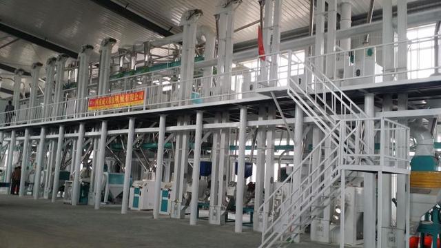 五十吨玉米深加工项目赚钱吗？小型玉米深加工项目有哪些？-知联副业