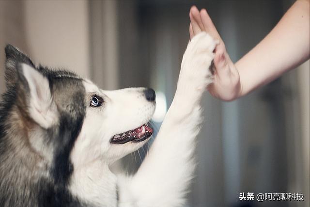 2022年千万不能做的生意,2022适合普通人做的生意有哪些插图2 2022年千万不能做的生意,2022适合普通人做的生意有哪些插图2
