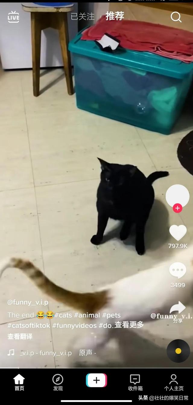 如何使用海外版抖音（国内怎样使用tiktok）-知联副业
