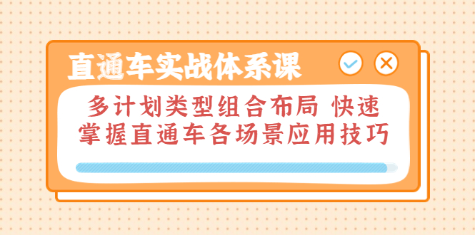 【副业项目3910期】直通车实战体系课：多计划类型组合布局，快速掌握直通车各场景应用技巧-知联副业
