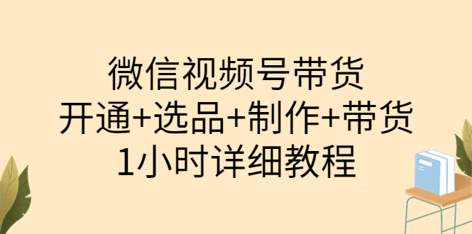 【副业项目3940期】陈奶爸·微信视频号带货：开通+选品+制作+带货（1小时详细教程）-知联副业
