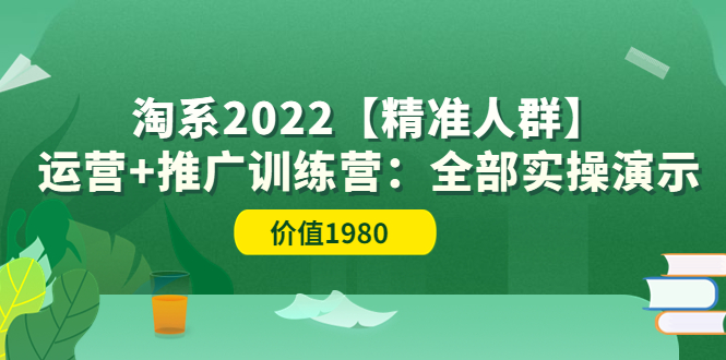 【副业项目3941期】淘系2022【精准人群】运营+推广训练营：全部实操演示-知联副业