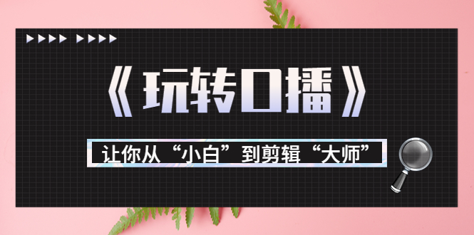 【副业项目3987期】月营业额700万+大佬教您《玩转口播》让你从“小白”到剪辑“大师”-知联副业