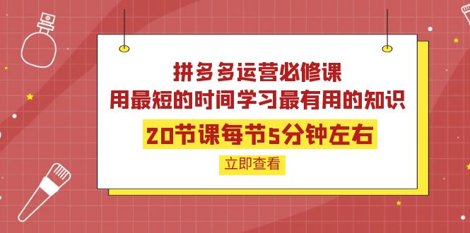 【副业项目4189期】拼多多运营必修课：20节课每节5分钟左右，用最短的时间学习最有用的知识-知联副业