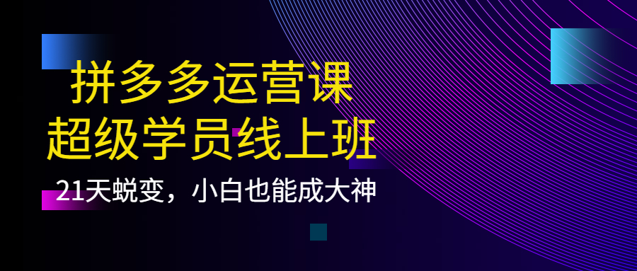【副业项目4260期】拼多多运营课：超级学员线上班，21天蜕变，小白也能成大神-知联副业