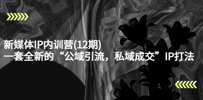 【副业项目4405期】新媒体IP内训营(12期)：一套全新的“公域引流，私域成交”IP打法，直接带走-知联副业