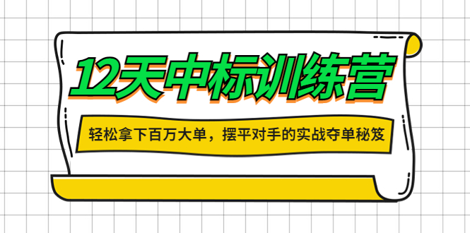 【副业项目4416期】12天中标训练营：轻松拿下百万大单，摆平对手的实战夺单秘笈-知联副业