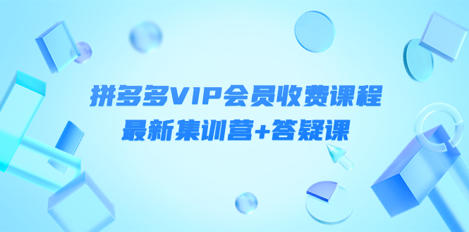 【副业项目4426期】某社群·拼多多VIP会员收费课程，最新集训营+答疑课-价值3299元-知联副业