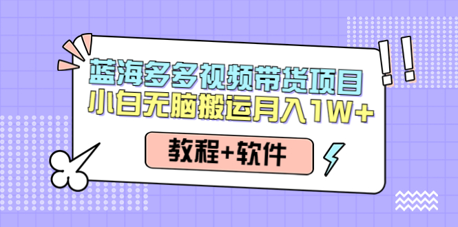 【副业项目4612期】人人都能操作的蓝海多多视频带货项目 小白无脑搬运月入10000+（教程+软件）-知联副业