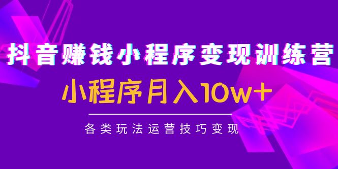 【副业项目4765期】抖音赚钱小程序变现训练营：小程序月入10w+各类玩法运营技巧变现-知联副业