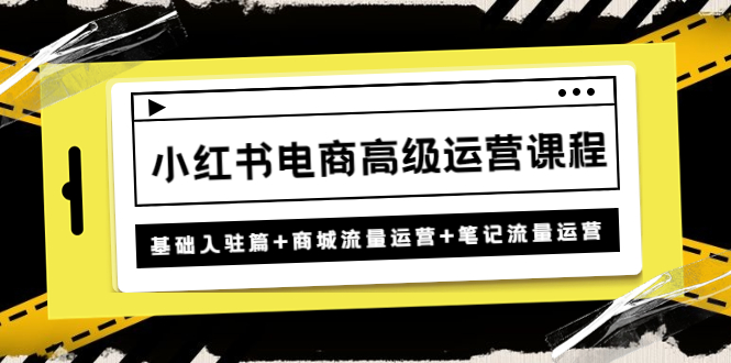 【副业项目4879期】小红书电商高级运营课程：基础入驻篇+商城流量运营+笔记流量运营-知联副业
