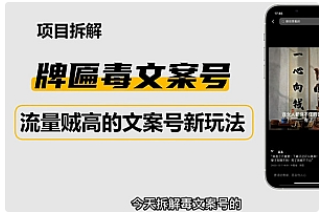 【副业项目4912期】2023抖音快手毒文案新玩法，牌匾文案号，起号快易变现-知联副业