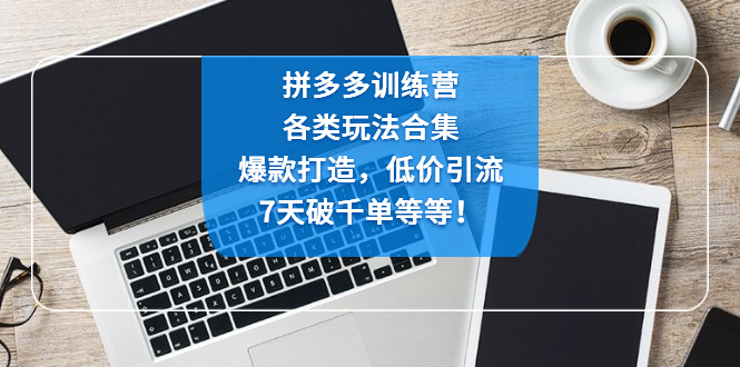 【副业项目4925期】拼多多训练营：各玩法合集，爆款打造，低价引流，7天破千单等等-知联副业