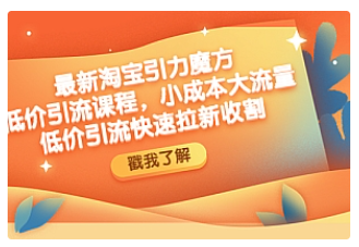【副业项目4943期】最新淘宝引力魔方低价引流实操：小成本大流量，低价引流快速拉新收割-知联副业