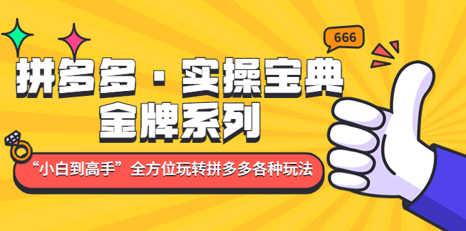 【副业项目5130期】拼多多·实操宝典：金牌系列“小白到高手”带你全方位玩转拼多多各种玩法-知联副业