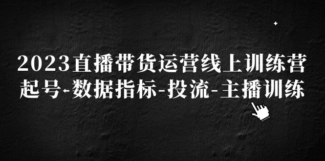 【副业项目5282期】2023直播带货运营线上训练营，起号-数据指标-投流-主播训练-知联副业