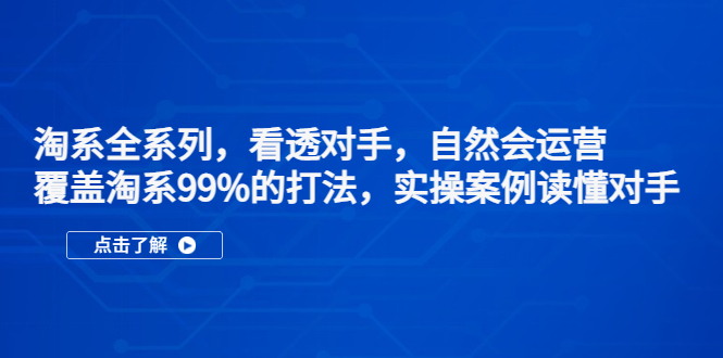 【副业项目5366期】淘系全系列，看透对手，自然会运营，覆盖淘系99%·打法，实操案例读懂对手-知联副业