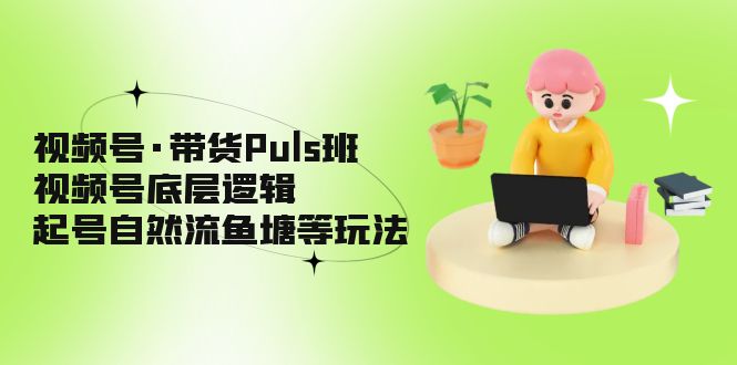 【副业项目5206期】视频号·带货Puls班，视频号底层逻辑，起号自然流鱼塘等玩法-知联副业