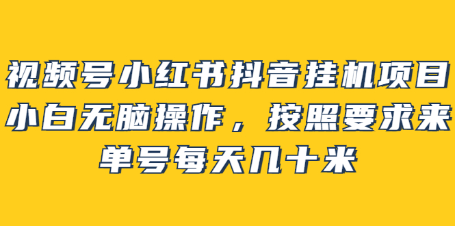 【副业项目2904期】视频号小红书抖音挂机项目，小白无脑操作，按照要求来，单号每天几十米-知联副业