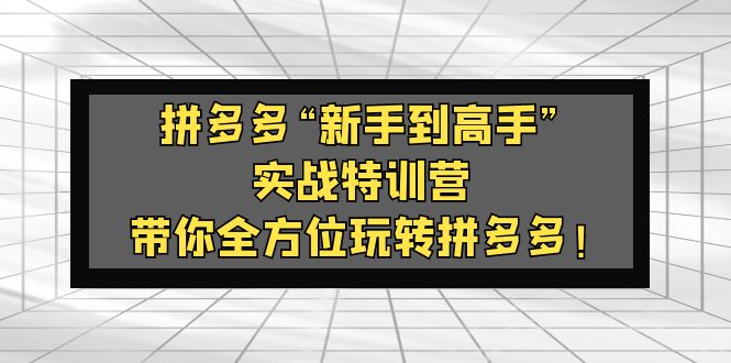 【副业项目5317期】拼多多“新手到高手”实战特训营：带你全方位玩转拼多多-知联副业