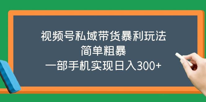 【副业项目5627期】视频号私域带货暴利玩法，简单粗暴，一部手机实现日入300+-知联副业