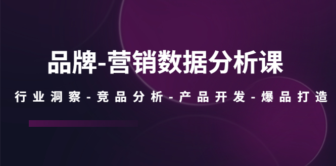 【副业项目5644期】品牌-营销数据分析课，行业洞察-竞品分析-产品开发-爆品打造-知联副业