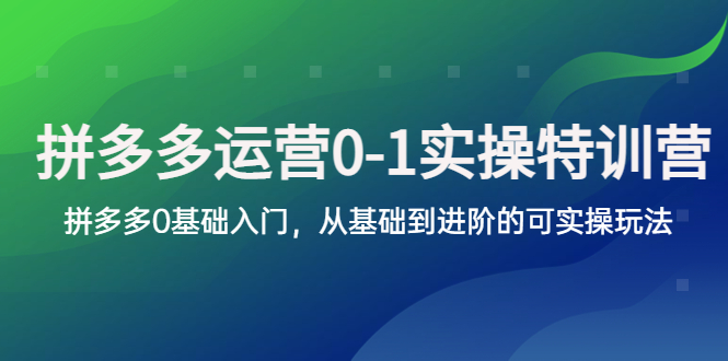 【副业项目5801期】拼多多-运营0-1实操训练营，拼多多0基础入门，从基础到进阶的可实操玩法-知联副业