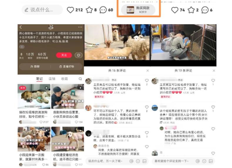 【副业项目5898期】小红书蓝海类赛道：小动物打赏与购买变现副业项目，一条龙玩法分享给你！-知联副业
