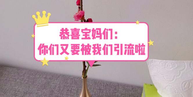 【副业项目5918期】恭喜宝妈们：你们又要被我们引流了（教程+222g资料）-知联副业