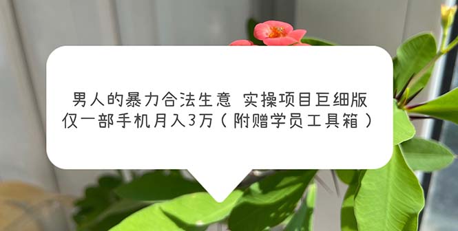 【副业项目5982期】男人的暴力合法生意实操项目巨细版：仅一部手机月入3w（附赠学员工具箱）-知联副业