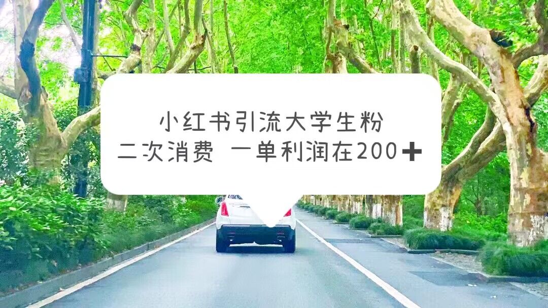 【副业项目5937期】小红书引流大学生粉，变现项目，一单利润在200+（教程+资源）-知联副业