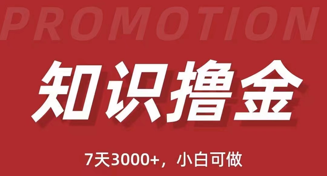 【副业项目5702期】抖音知识撸金项目：简单粗暴日入1000+执行力强当天见收益(教程+资料)-知联副业