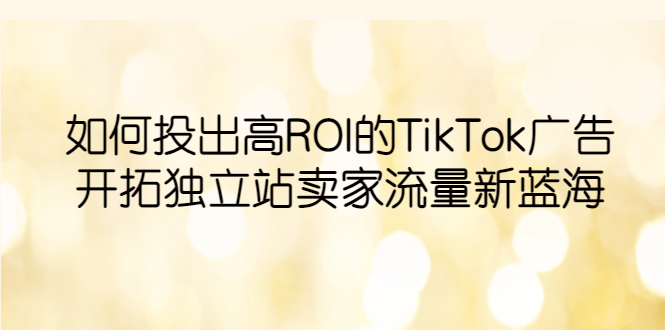 【副业项目6124期】如何投出高ROI·TikTok广告，开拓独立站卖家流量新蓝海-知联副业