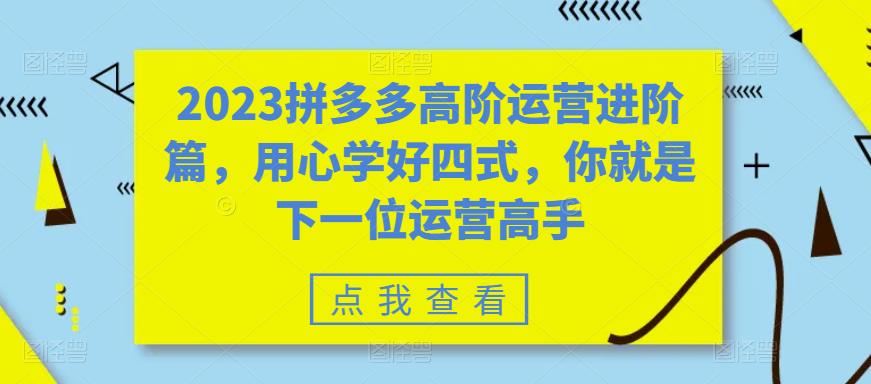 【副业项目6241期】2023拼多多高阶运营进阶篇，用心学好四式，你就是下一位运营高手-知联副业