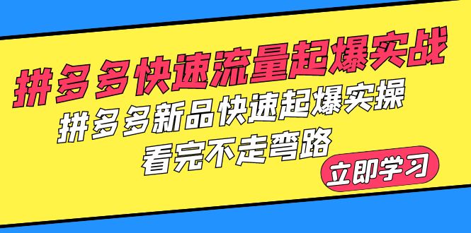 【副业项目6310期】拼多多-快速流量起爆实战，拼多多新品快速起爆实操，看完不走弯路-知联副业