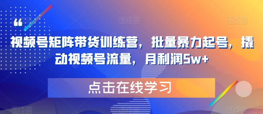 【副业项目6254期】视频号矩阵带货训练营，批量暴力起号，撬动视频号流量，月利润5w+-知联副业